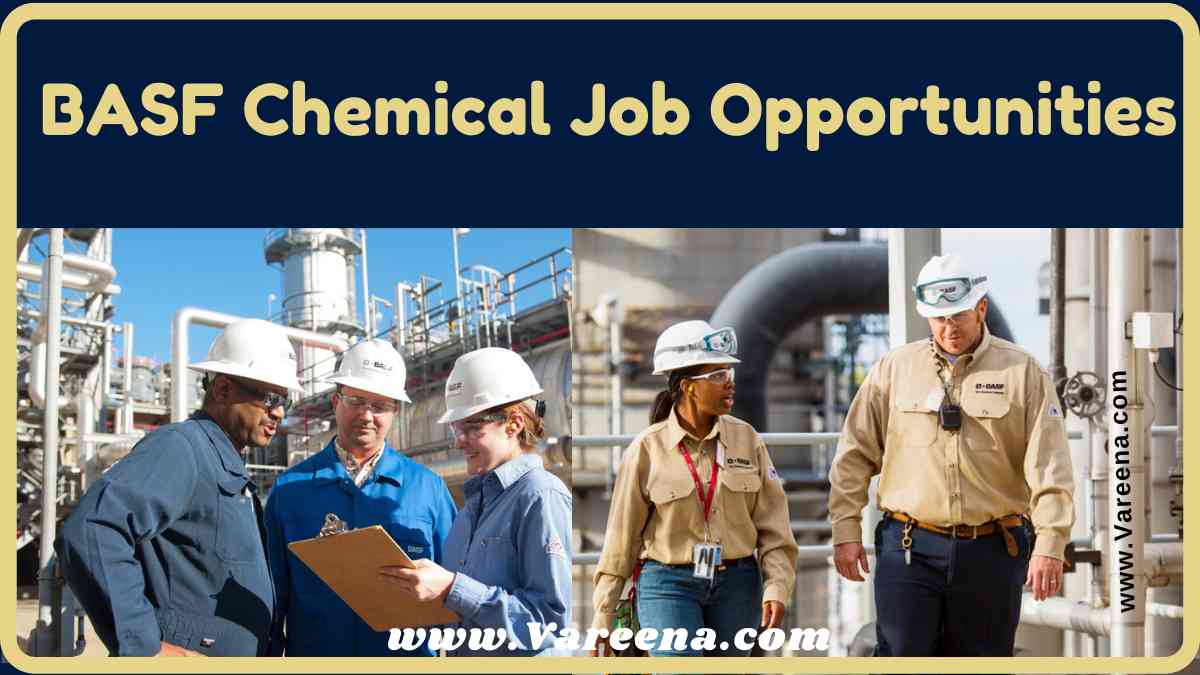 BASF Chemicals Job Opportunities